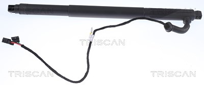 Triscan Gasfeder, Koffer-/Laderaum [Hersteller-Nr. 871011301] für BMW von TRISCAN