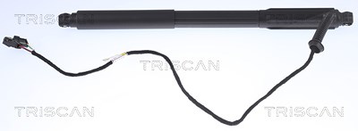 Triscan Gasfeder, Koffer-/Laderaum [Hersteller-Nr. 871011303] für BMW von TRISCAN