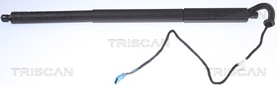 Triscan Gasfeder, Koffer-/Laderaum [Hersteller-Nr. 871011306] für BMW von TRISCAN