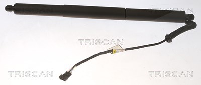 Triscan Gasfeder, Koffer-/Laderaum [Hersteller-Nr. 871011307] für BMW von TRISCAN