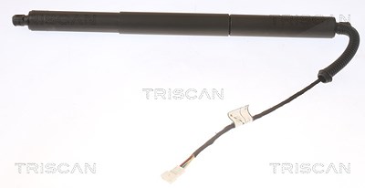 Triscan Gasfeder, Koffer-/Laderaum [Hersteller-Nr. 871011308] für BMW von TRISCAN