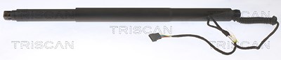 Triscan Gasfeder, Koffer-/Laderaum [Hersteller-Nr. 871011311] für BMW von TRISCAN