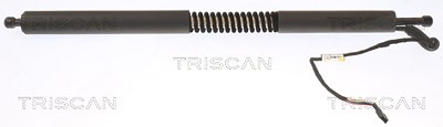 Triscan Gasfeder, Koffer-/Laderaum [Hersteller-Nr. 871011354] für BMW von TRISCAN