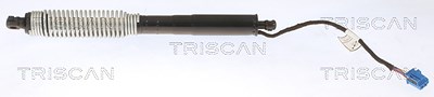 Triscan Gasfeder, Koffer-/Laderaum [Hersteller-Nr. 871011356] für BMW von TRISCAN
