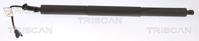 Triscan Gasfeder, Koffer-/Laderaum [Hersteller-Nr. 871011358] für BMW von TRISCAN