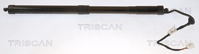 Triscan Gasfeder, Koffer-/Laderaum [Hersteller-Nr. 871013301] für Toyota von TRISCAN