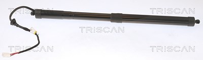 Triscan Gasfeder, Koffer-/Laderaum [Hersteller-Nr. 871013302] für Toyota von TRISCAN
