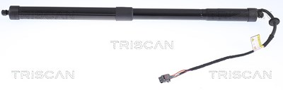 Triscan Gasfeder, Koffer-/Laderaum [Hersteller-Nr. 871017301] für Land Rover von TRISCAN
