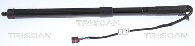 Triscan Gasfeder, Koffer-/Laderaum [Hersteller-Nr. 871017303] für Land Rover von TRISCAN