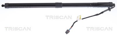 Triscan Gasfeder, Koffer-/Laderaum [Hersteller-Nr. 871017304] für Land Rover von TRISCAN