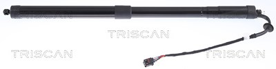 Triscan Gasfeder, Koffer-/Laderaum [Hersteller-Nr. 871020301] für Porsche von TRISCAN