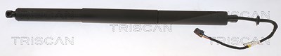 Triscan Gasfeder, Koffer-/Laderaum [Hersteller-Nr. 871020304] für Porsche von TRISCAN