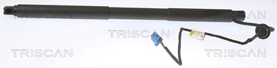 Triscan Gasfeder, Koffer-/Laderaum [Hersteller-Nr. 871023304] für Mercedes-Benz von TRISCAN