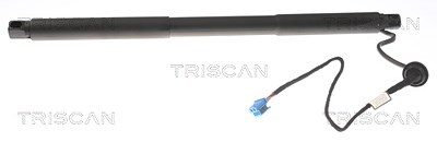 Triscan Gasfeder, Koffer-/Laderaum [Hersteller-Nr. 871023304] für Mercedes-Benz von TRISCAN