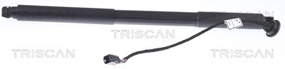 Triscan Gasfeder, Koffer-/Laderaum [Hersteller-Nr. 871027302] für Volvo von TRISCAN