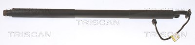 Triscan Gasfeder, Koffer-/Laderaum [Hersteller-Nr. 871027305] für Volvo von TRISCAN