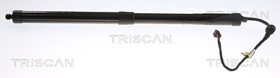 Triscan Gasfeder, Koffer-/Laderaum [Hersteller-Nr. 871029301] für VW von TRISCAN