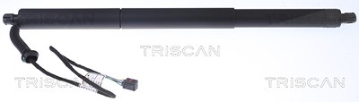 Triscan Gasfeder, Koffer-/Laderaum [Hersteller-Nr. 871029302] für Audi von TRISCAN