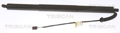 Triscan Gasfeder, Koffer-/Laderaum [Hersteller-Nr. 871029305] für VW von TRISCAN