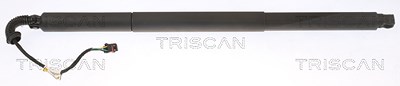 Triscan Gasfeder, Koffer-/Laderaum [Hersteller-Nr. 871029308] für Skoda von TRISCAN