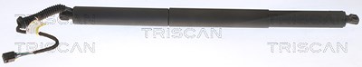 Triscan Gasfeder, Koffer-/Laderaum [Hersteller-Nr. 871029309] für Audi von TRISCAN