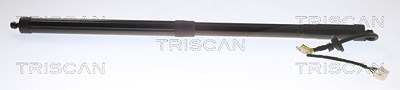 Triscan Gasfeder, Koffer-/Laderaum [Hersteller-Nr. 871040301] für Honda von TRISCAN