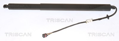 Triscan Gasfeder, Koffer-/Laderaum [Hersteller-Nr. 871043301] für Hyundai von TRISCAN