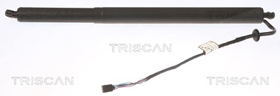 Triscan Gasfeder, Koffer-/Laderaum [Hersteller-Nr. 871043302] für Hyundai von TRISCAN