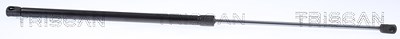 Triscan Gasfeder, Motorhaube [Hersteller-Nr. 871029153] für VW von TRISCAN