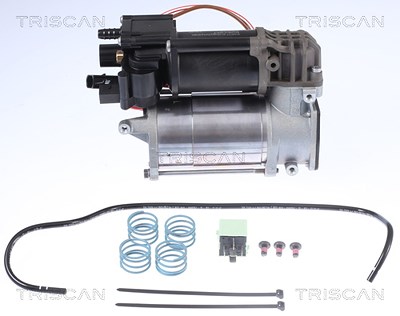 Triscan Kompressor, Druckluftanlage [Hersteller-Nr. 872511101] für BMW von TRISCAN