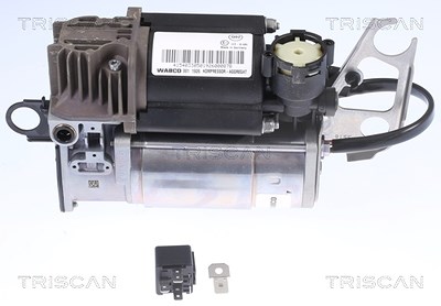 Triscan Kompressor, Druckluftanlage [Hersteller-Nr. 872529102] für Audi, Porsche, VW von TRISCAN