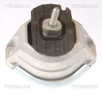 Triscan Lagerung, Motor [Hersteller-Nr. 850511114] für BMW von TRISCAN