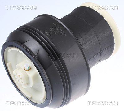 Triscan Luftfeder, Fahrwerk [Hersteller-Nr. 872011203] für BMW von TRISCAN