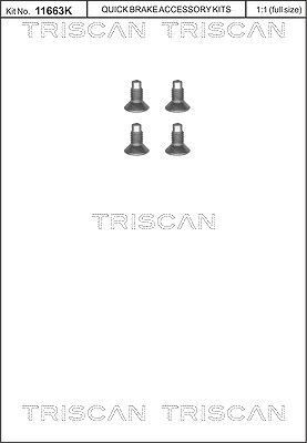 Triscan Schraube, Bremsscheibe [Hersteller-Nr. 8105116004] für Dacia, Mercedes-Benz, Nissan, Opel, Renault, Smart von TRISCAN