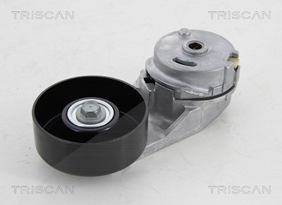 Triscan Spannrolle, Keilrippenriemen [Hersteller-Nr. 8641103044] für Chevrolet, Opel, Saab, Vauxhall von TRISCAN