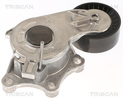 Triscan Spannrolle, Keilrippenriemen [Hersteller-Nr. 8641103056] für Citroën, Ds, Peugeot von TRISCAN