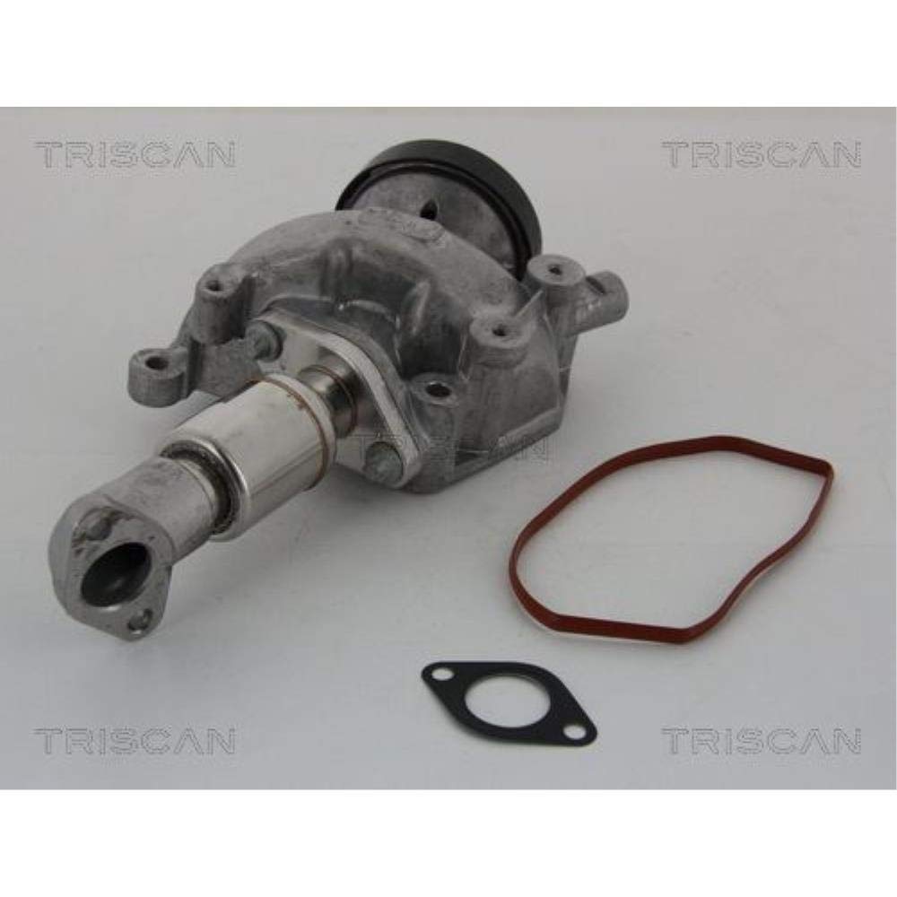 TRISCAN 8813 23023 AGR-Ventile TRISCAN 8813 23023 AGR-Ventile von TRISCAN