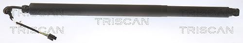TRISCAN Gasfeder, Koffer-/Laderaum 871029313 TRISCAN Gasfeder, Koffer-/Laderaum 871029313 von TRISCAN