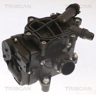 Triscan Thermostat, Kühlmittel [Hersteller-Nr. 862011896] für BMW von TRISCAN