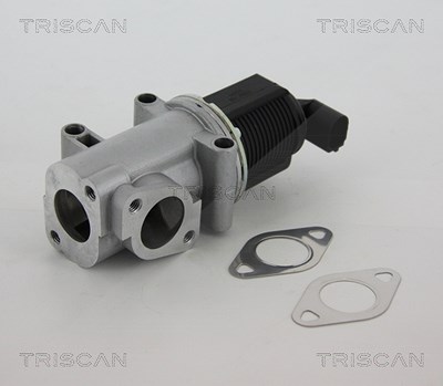Triscan AGR-Ventil [Hersteller-Nr. 881310015] für Alfa Romeo, Fiat, Opel, Saab von TRISCAN