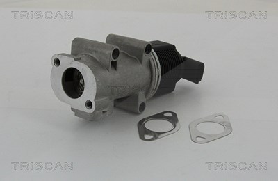 Triscan AGR-Ventil [Hersteller-Nr. 881310005] für Alfa Romeo, Fiat, Lancia von TRISCAN