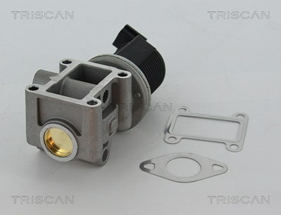 Triscan AGR-Ventil [Hersteller-Nr. 881324082] für Alfa Romeo, Cadillac, Fiat, Lancia, Opel, Saab, Vauxhall von TRISCAN