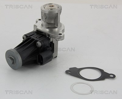Triscan AGR-Ventil [Hersteller-Nr. 881310004] für Alfa Romeo, Chrysler, Fiat, Lancia, Opel, Vauxhall von TRISCAN