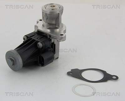 Triscan AGR-Ventil [Hersteller-Nr. 881310004] für Alfa Romeo, Fiat, Lancia, Opel von TRISCAN