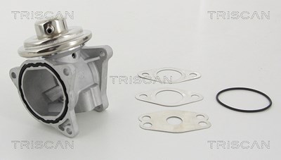 Triscan AGR-Ventil [Hersteller-Nr. 881329111] für Audi, Chrysler, Dodge, Jeep, Mitsubishi, Seat, Skoda, VW von TRISCAN