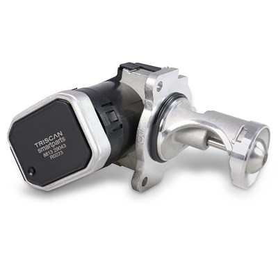 Triscan AGR-Ventil [Hersteller-Nr. 881329043] für Seat, VW von TRISCAN