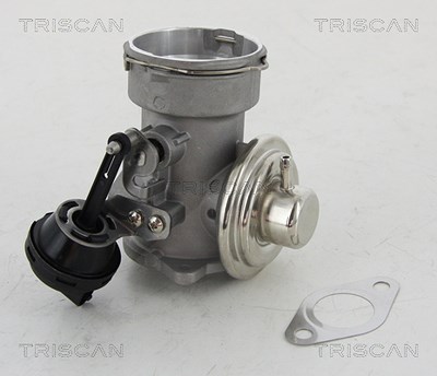 Triscan AGR-Ventil [Hersteller-Nr. 881316023] für Audi, Ford, Seat, Skoda, VW von TRISCAN