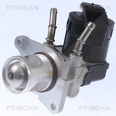 Triscan AGR-Ventil [Hersteller-Nr. 881311001] für BMW von TRISCAN