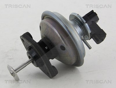 Triscan AGR-Ventil [Hersteller-Nr. 881311002] für BMW, Mini von TRISCAN