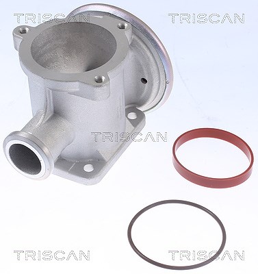 Triscan AGR-Ventil Bmw: X6, X5, X3, 6, 5 881311105 von TRISCAN